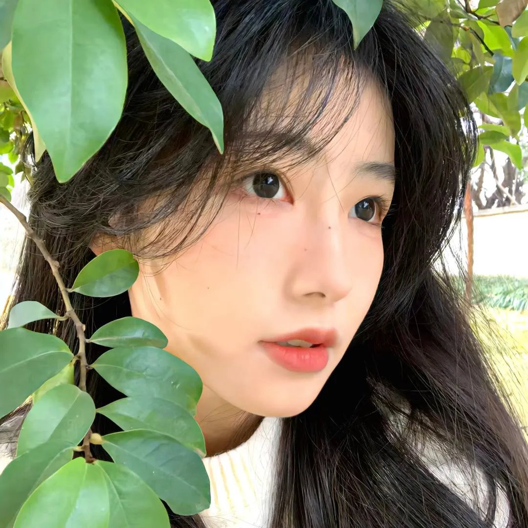 蓝徽特攻队